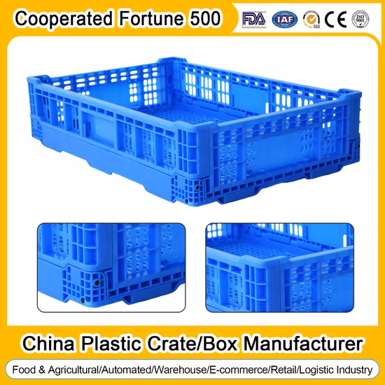 Caja de fruta móvil plegable de plástico sólido plegable y apilable de almacenamiento de alta calidad