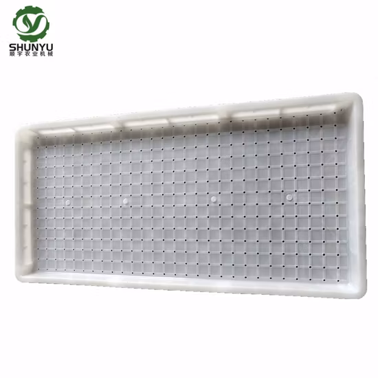 Vivero de bandejas de plántulas de arroz y trigo de alta calidad